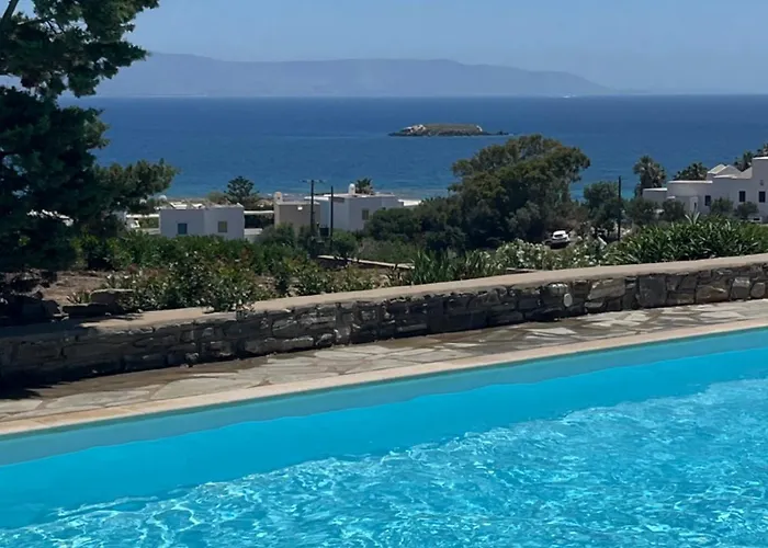 Delta Apartment With Sea View And Pool Chrisi Akti  foto